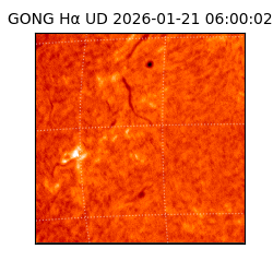 gong - 2026-01-21T06:00:02