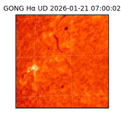 gong - 2026-01-21T07:00:02