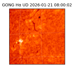 gong - 2026-01-21T08:00:02
