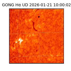 gong - 2026-01-21T10:00:02