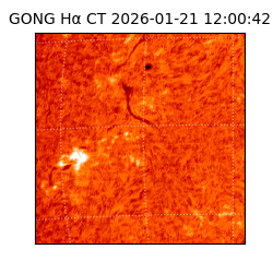 gong - 2026-01-21T12:00:42