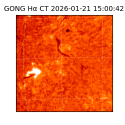 gong - 2026-01-21T15:00:42