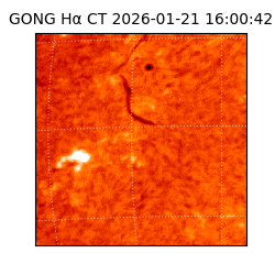 gong - 2026-01-21T16:00:42