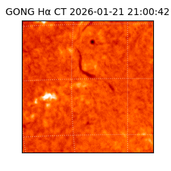 gong - 2026-01-21T21:00:42