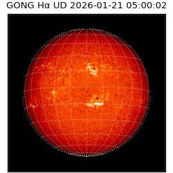 gong - 2026-01-21T05:00:02