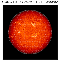gong - 2026-01-21T10:00:02
