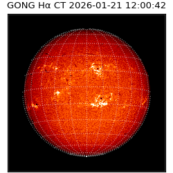 gong - 2026-01-21T12:00:42