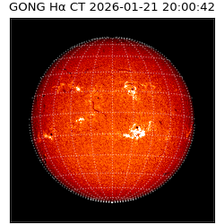 gong - 2026-01-21T20:00:42