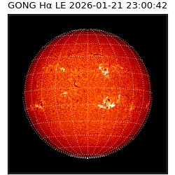 gong - 2026-01-21T23:00:42