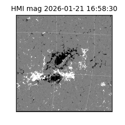shmi - 2026-01-21T16:58:30