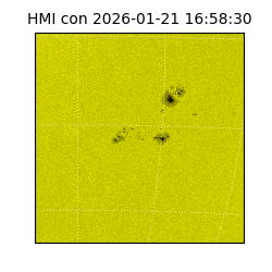 shmi - 2026-01-21T16:58:30