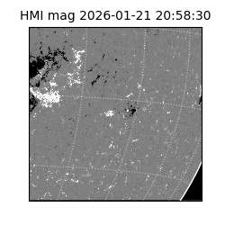 shmi - 2026-01-21T20:58:30