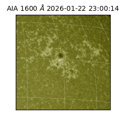 saia - 2026-01-22T23:00:14.125000