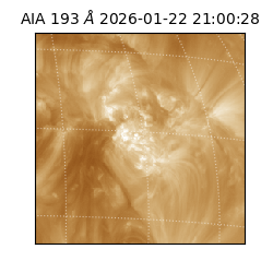 saia - 2026-01-22T21:00:28.843000