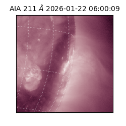 saia - 2026-01-22T06:00:09.619000