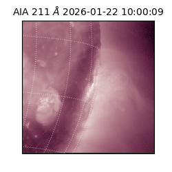 saia - 2026-01-22T10:00:09.632000