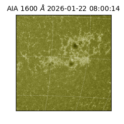 saia - 2026-01-22T08:00:14.125000