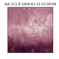 saia - 2026-01-22T01:00:09.626000