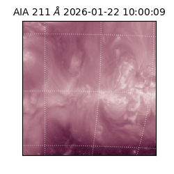 saia - 2026-01-22T10:00:09.632000