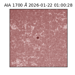 saia - 2026-01-22T01:00:28.710000