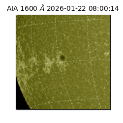 saia - 2026-01-22T08:00:14.125000