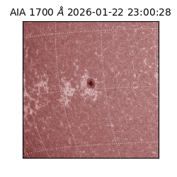 saia - 2026-01-22T23:00:28.717000