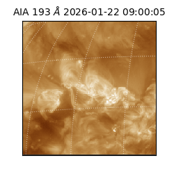 saia - 2026-01-22T09:00:05.467000
