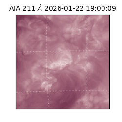 saia - 2026-01-22T19:00:09.626000