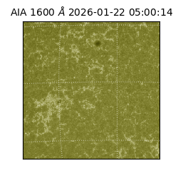 saia - 2026-01-22T05:00:14.126000