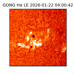 gong - 2026-01-22T04:00:42