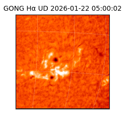 gong - 2026-01-22T05:00:02