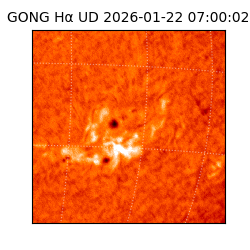 gong - 2026-01-22T07:00:02