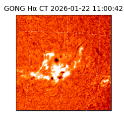 gong - 2026-01-22T11:00:42