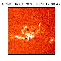 gong - 2026-01-22T12:00:42