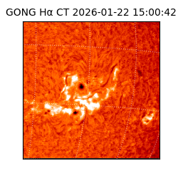 gong - 2026-01-22T15:00:42