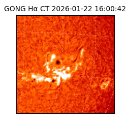 gong - 2026-01-22T16:00:42