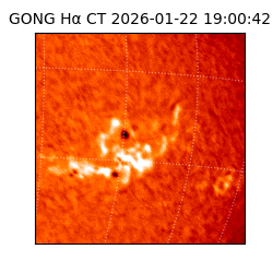 gong - 2026-01-22T19:00:42
