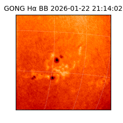 gong - 2026-01-22T21:14:02