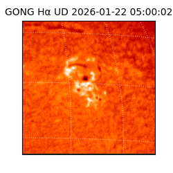 gong - 2026-01-22T05:00:02
