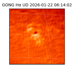 gong - 2026-01-22T06:14:02