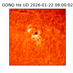 gong - 2026-01-22T08:00:02