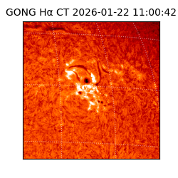 gong - 2026-01-22T11:00:42