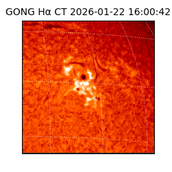 gong - 2026-01-22T16:00:42