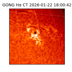 gong - 2026-01-22T18:00:42