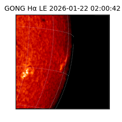 gong - 2026-01-22T02:00:42