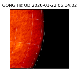 gong - 2026-01-22T06:14:02