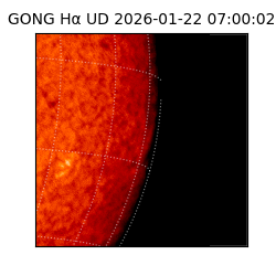 gong - 2026-01-22T07:00:02