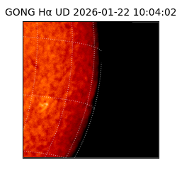 gong - 2026-01-22T10:04:02