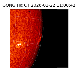 gong - 2026-01-22T11:00:42