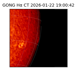 gong - 2026-01-22T19:00:42